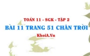 Bài 11 trang 51 Toán 11 Tập 2 Chân trời sáng tạo